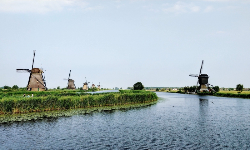 3MAGNUM - Graduation Module